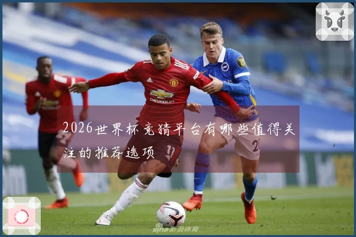 2026世界杯竞猜平台有哪些值得关注的推荐选项