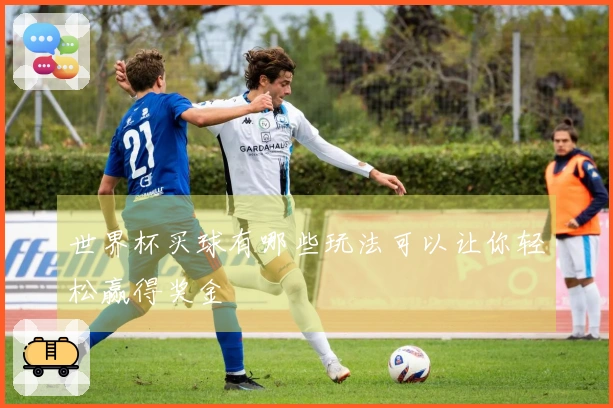 世界杯买球有哪些玩法可以让你轻松赢得奖金