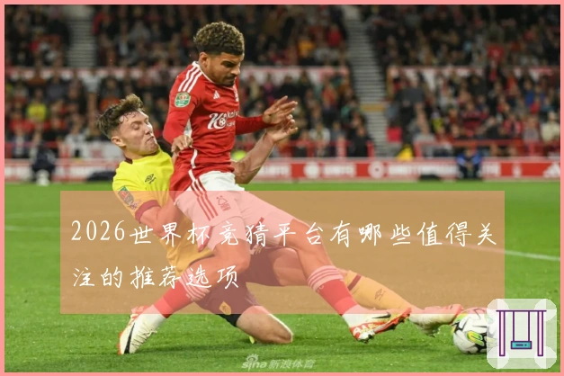 2026世界杯竞猜平台有哪些值得关注的推荐选项
