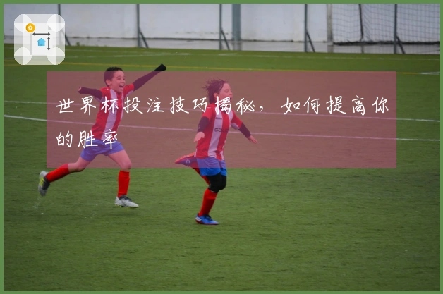世界杯投注技巧揭秘，如何提高你的胜率