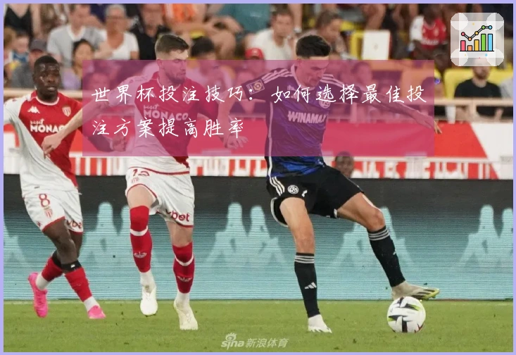 世界杯投注技巧：如何选择最佳投注方案提高胜率