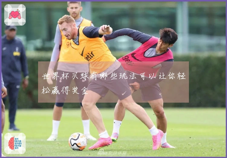 世界杯买球有哪些玩法可以让你轻松赢得奖金