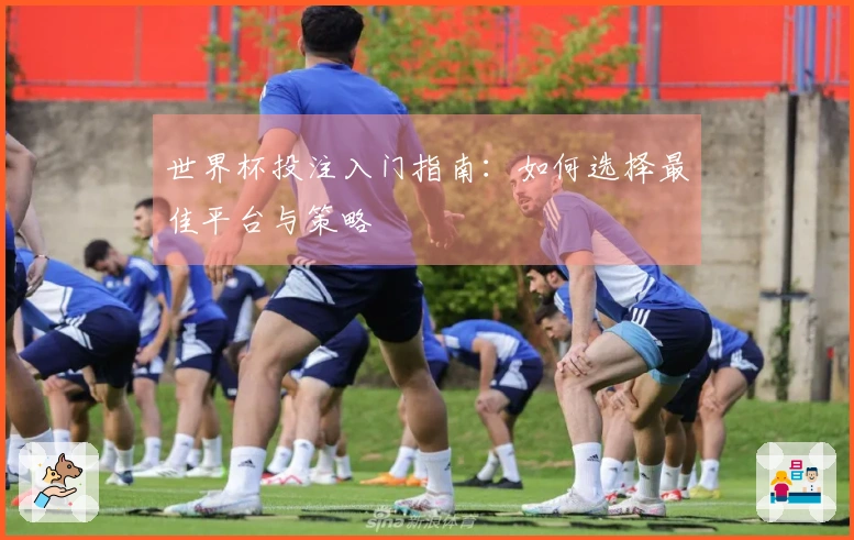 世界杯投注入门指南：如何选择最佳平台与策略