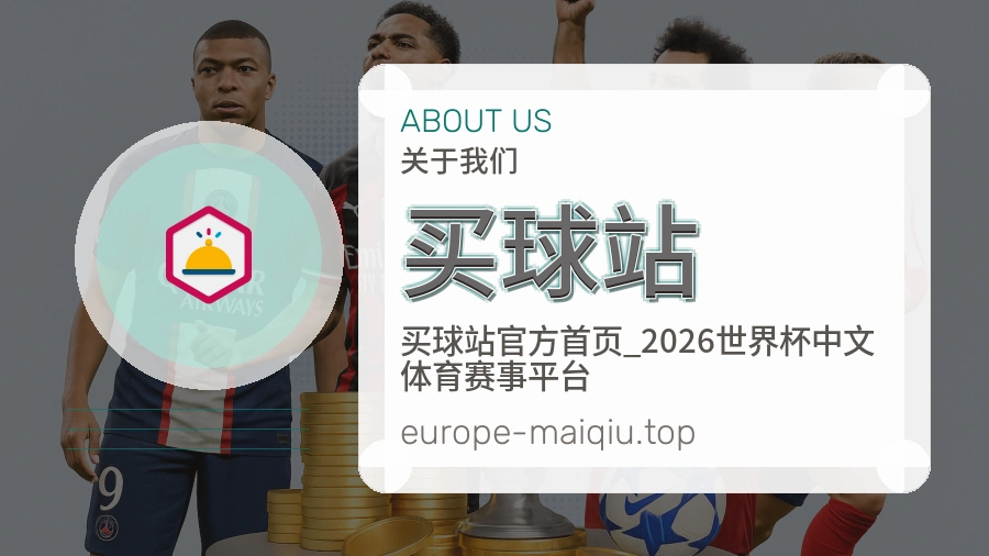 关于 买球站 团队与资质